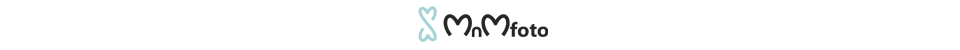 Houston Wedding Photographer – Destination Wedding Photographer logo