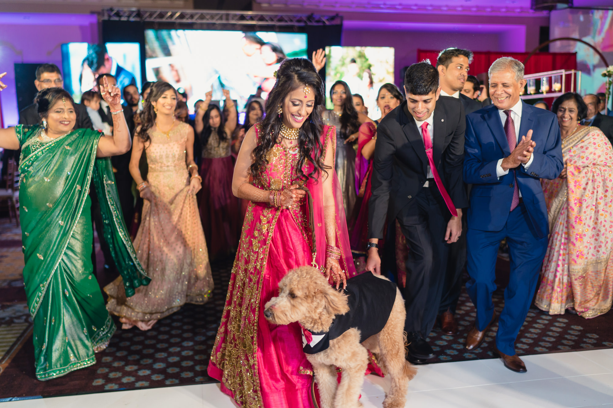 dog dressed up in tuxedo for the wedding