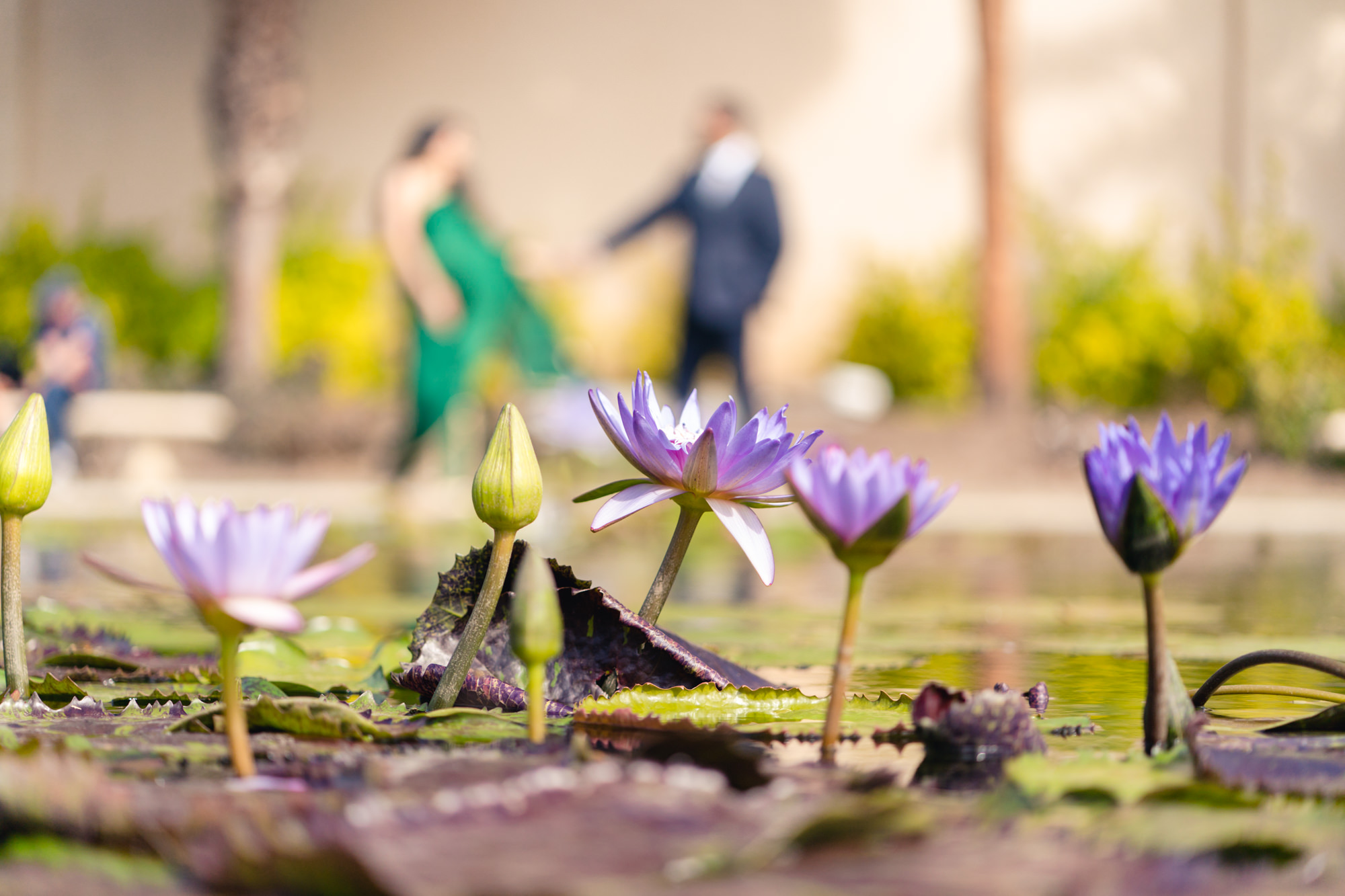 Balboa Park San Diego Engagement Photos