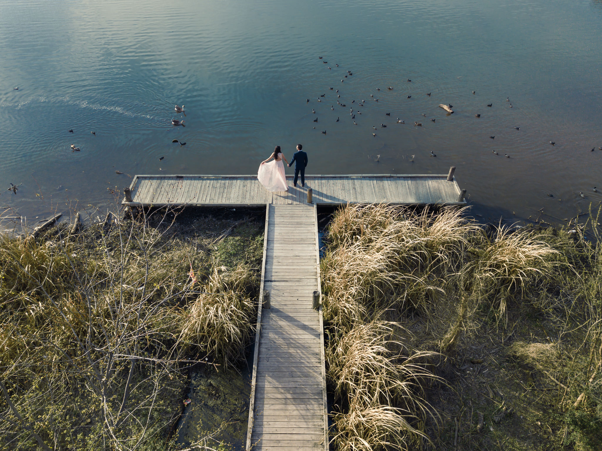 White Rock Lake Dallas Engagement Photos