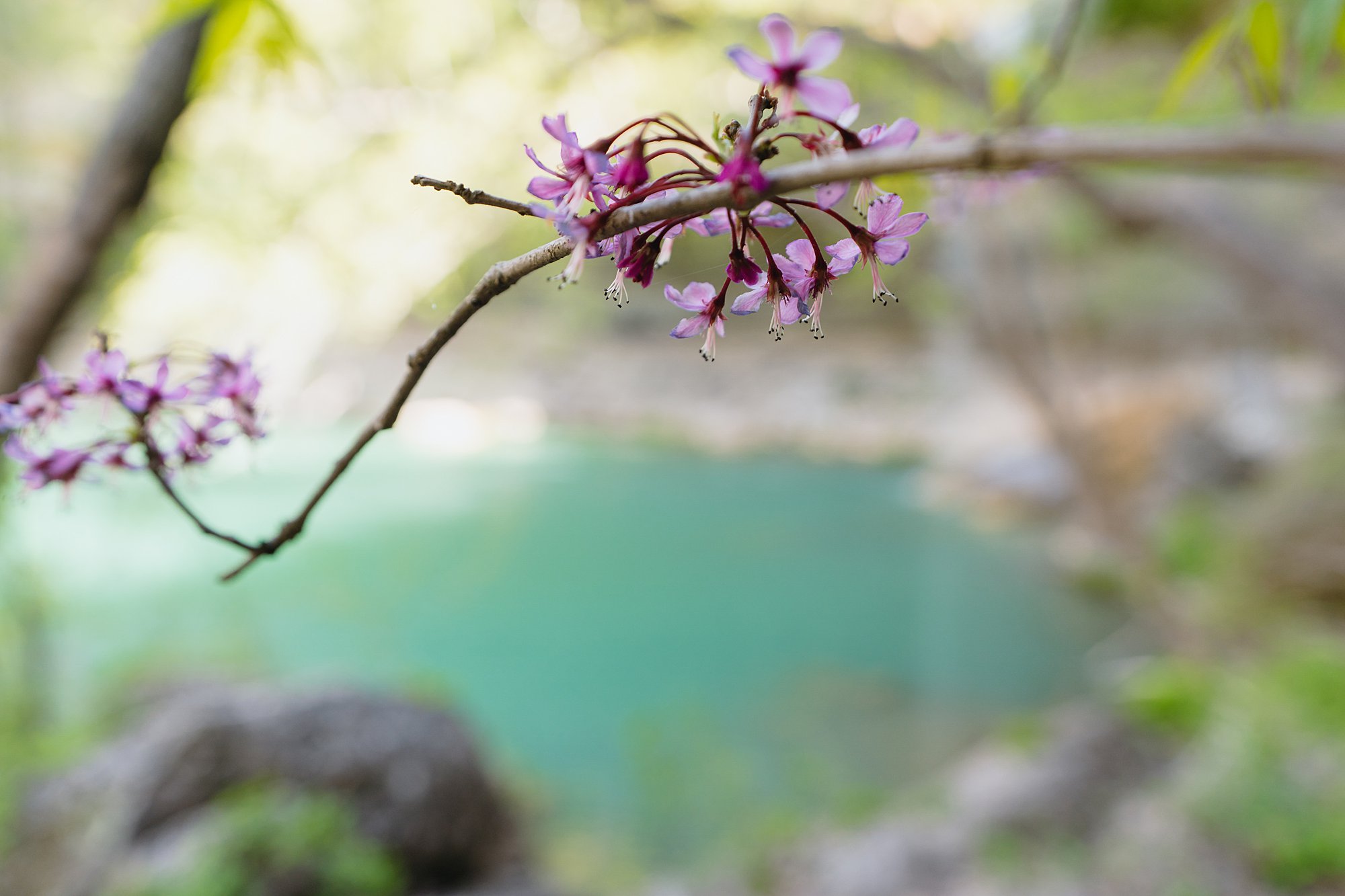 Hamilton Pool Austin Engagement Photo Shoot