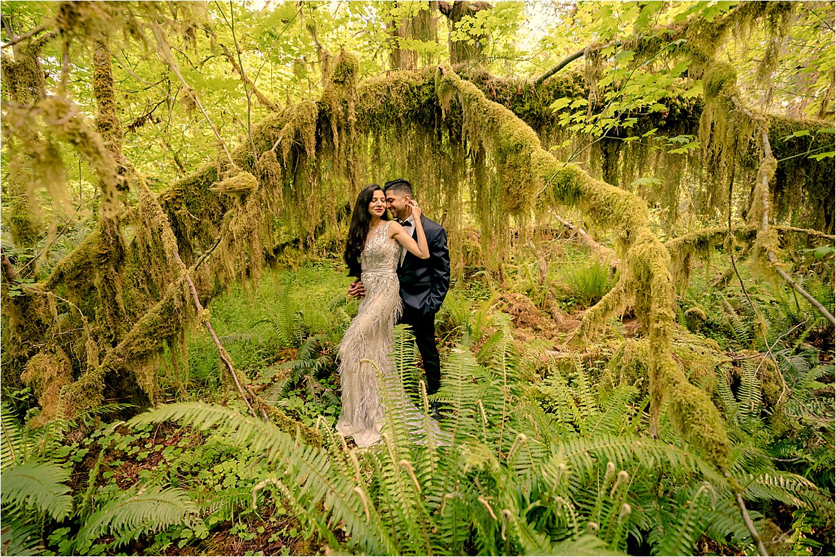 forest engagement shoot olympic state national park